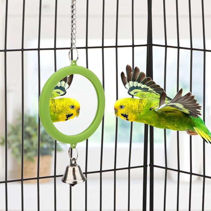 Hypeety Pet Bird Mirror with Bell Interactive Parrot Toy Bird Cage Mirror for Cockatiel Parakeets Canaries Budgie (Green)