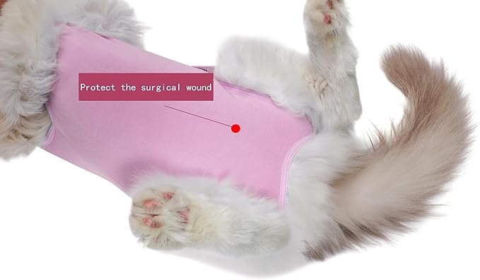 Cat Surgery Recovery Suit Female Kitten Cat Onesie for Cats After Surgery Spay Surgical Abdominal Wound Skin Diseases Cone Collar Soft Alternative Wear (Pink, S)