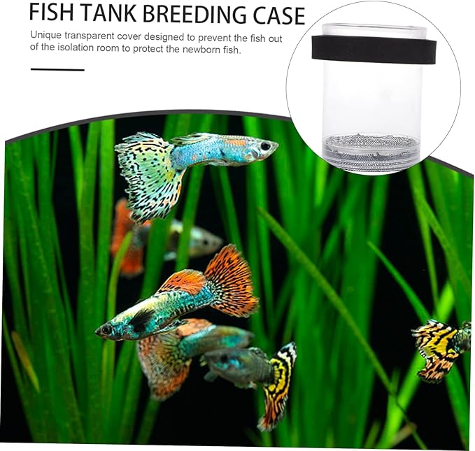 Box Pot Incubators Fishbowls Aquatainer Fish Net Box Fish Breeding Boxes Floating Box Fish Aquarium Boxes Fish Tank Hatching Incubator