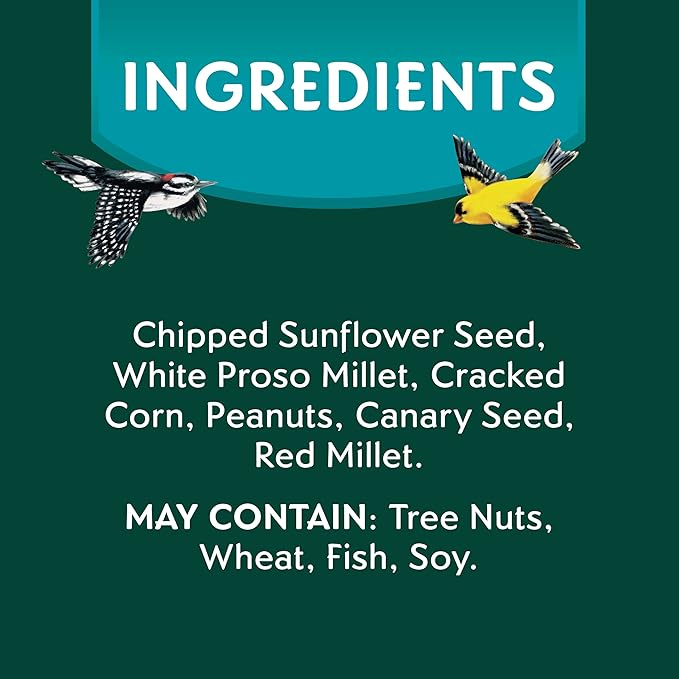 Morning Song Clean & Free Shell Free Wild Bird Food, Premium No Mess Bird Seed for Outside Feeders, 10-Pound Bag