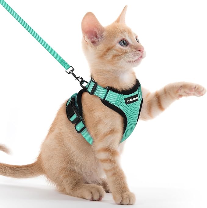 rabbitgoo Cat Harness and Leash for Walking, Escape Proof Soft Adjustable Vest Harnesses for Cats, Easy Control Breathable Reflective Strips Jacket, Emerald, XXS