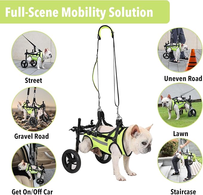 𝑵𝑬𝑾 Adjustable Dog Wheelchair With High-visibility Clothing, Dog Leash, Sling Lift Dog Wheelchair for Back Legs, Max 22 Pound, Wheelchair for paralyzed Injured Lame Disabled Handicapped Dogs -M