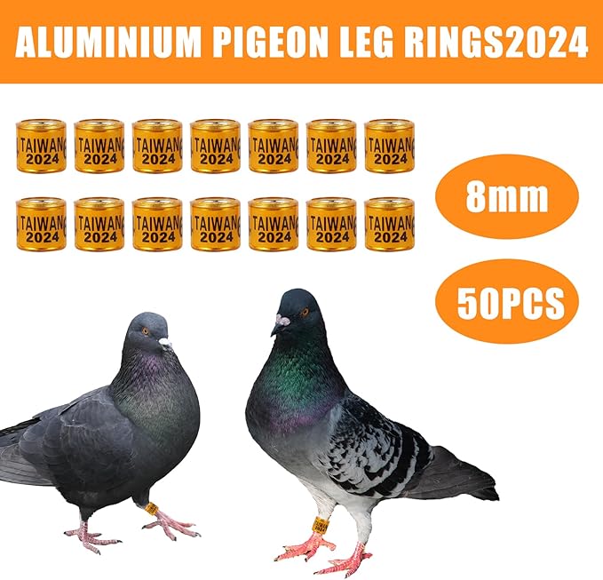 50Pcs Multicolor Aluminium Pigeon Leg Rings with 2024 Taiwan Training Identify Birds Foot Ring Identify 8mm Plastic Bird Leg Bands (Orange)