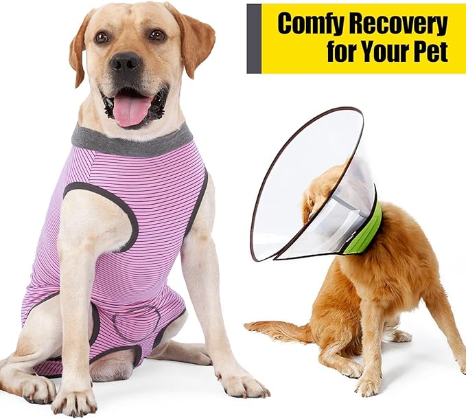 Dotoner Dog Recovery Suit Abdominal Wound Puppy Surgical Clothes Post-Operative Vest Pet After Surgery Wear Substitute E-Collar & Cone(S,Pink)