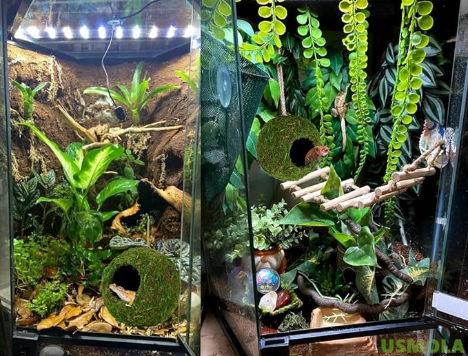 Mossy Caves, Artificial Green Moss Caves Hide for Pet Reptile Frogs and Snakes, Terrarium & Vivarium Decor, Crested Gecko Tank Decor (6" - Woodland Green)