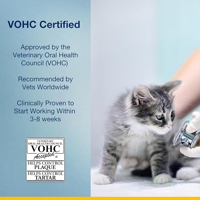 Plaque Off for Cats 40g - Special Feline Formulation