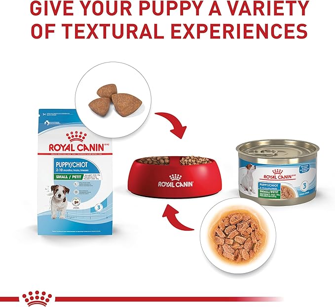 Royal Canin Size Health Nutrition Small Puppy Thin Slices in Gravy Wet Dog Food, 5.1 oz 24-Pack