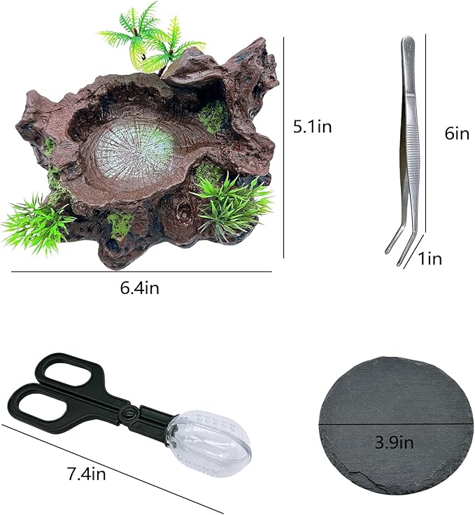 Reptile Feeding Bowl Resin Turtle Food Water Dish Tank Decor Basking Climbing Platform with Feeding Cleaning Tools for Lizard Gecko Chameleon Frog Beared Dragon Spider