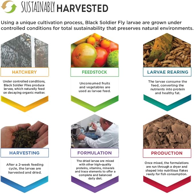 Fluval Bug Bites Goldfish Fish Food, Flakes for Small to Medium Sized Fish, 0.63 oz., A7338