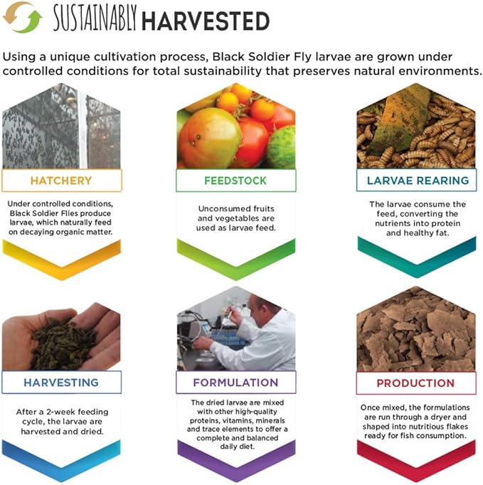 Fluval Bug Bites Color Enhancing Fish Food for Betta Fish, Flakes for Small to Medium Sized Fish, 0.63 oz., A7366, Brown