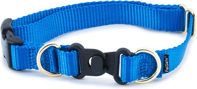 PetSafe KeepSafe Break-Away Collar, Prevent Collar Accidents for your Dog or Puppy, Improve Safety, Compatible with Leash Use, Adjustable Sizes, 3/4 in Wide, Medium, Royal Blue