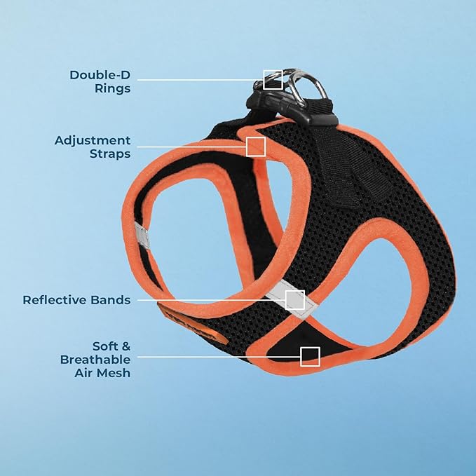 Voyager Step-in Air Dog Harness - All Weather Mesh Step in Vest Harness for Small and Medium Dogs by Best Pet Supplies - Orange Trim, S