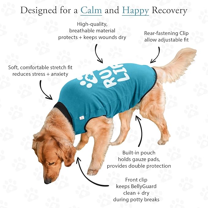 BellyGuard Recovery Suit for Dogs, After Surgery Dog Recovery Suit Female and Male, Soft Cotton Dog Surgery Suit Female Spay, Dog Surgical Recovery Suit Male Neuter, Comfy Surgical Onesie for Dogs.