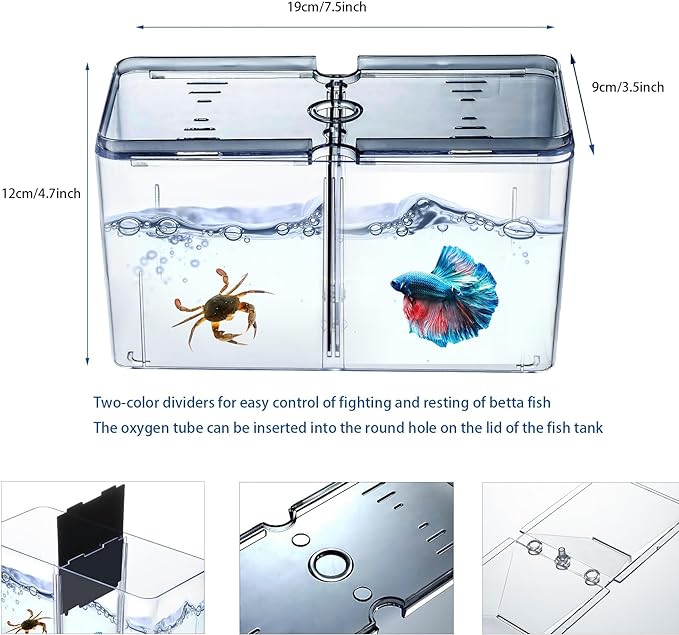 Small Betta Fish Tank, 3-in-1 Stackable Mini Fish Tank, Divided Compartments Beta Fish Tanks for 2 Betas Shrimp Sea Monkeys, 0.4 Gallon Acrylic Tiny Aquarium Tank with Hatchery Incubator (Black Lid)