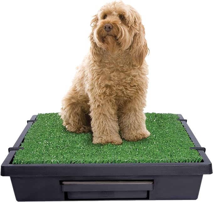 PetSafe Pet Loo Portable Dog Potty - Pet Toilet Alternative for Puppy Pads - Medium - Perfect for House Training - Easy-to-Clean Grass Mat