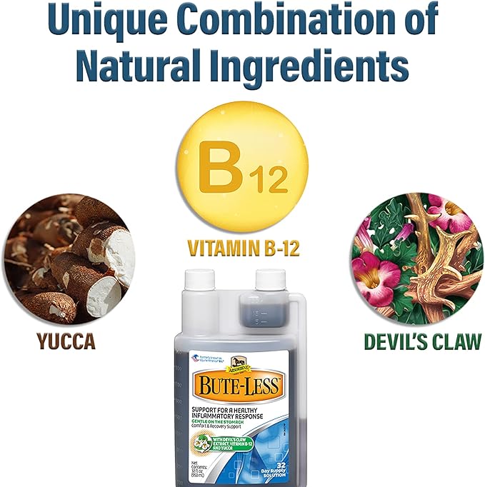 Absorbine Bute-Less Long-Term Horse Comfort & Recovery Supplement Solution, Gentle on Stomach, Devil's Claw, Vitamin B-12, Yucca, 32oz / 32 Day Supply