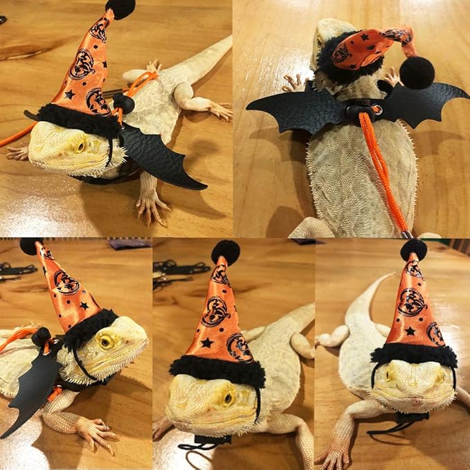 ADOGGYGO Halloween Bearded Dragon Lizard Leash Harness Hat Set - Bearded Dragon Clothe Halloween Pumpkin Hat + 3 Pack Reptile Harness Leash for Bearded Dragon Lizard Reptile (Halloween)