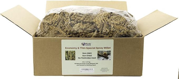 Birds LOVE Economy & Thin Special Spray Millet GMO-Free (No Stems Only Edible Tops) for Birds Cockatiel Lovebird Parakeet Finch Canary All Parrots Healthy Treat - 5lbs