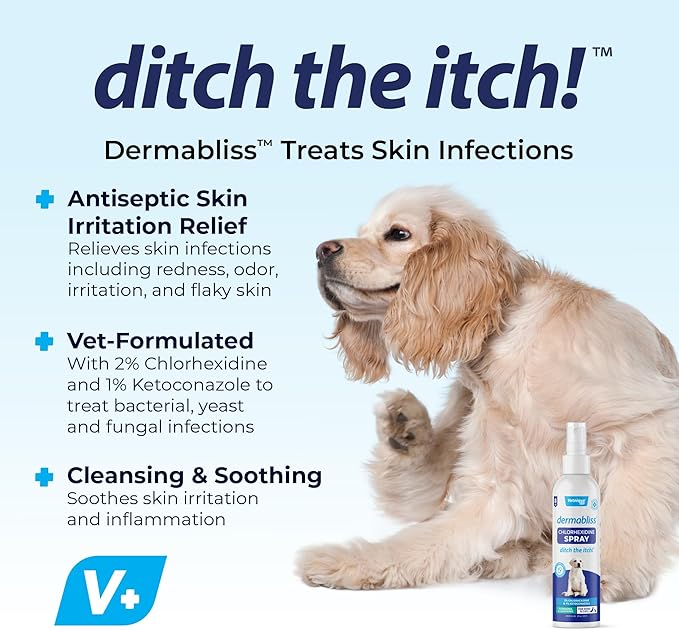 Vetnique Dermabliss Medicated Chlorhexidine Antiseptic Skin Spray for Dogs & Cats, Supports Skin Infections and Irritations 8oz