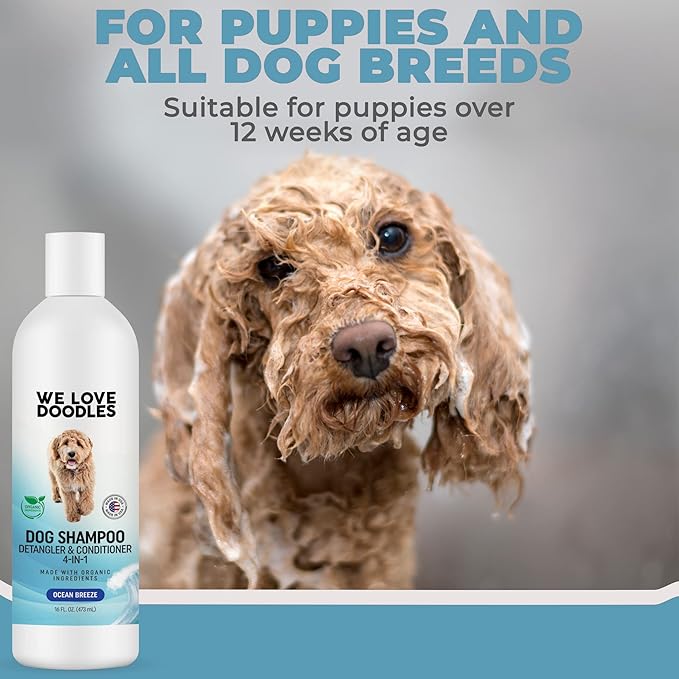 USDA Organic Dog Shampoo, Conditioner & Detangler - Best Shampoo for Goldendoodles, Poodles & Doodles - for Matted Pet Hair - Sensitive Skin Shampoo for Puppies - Made in The USA, 16OZ (Ocean Breeze)