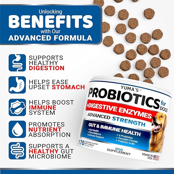 2 Pack Probiotics for Dogs and Digestive Enzymes - Dog Probiotics Chews - Dog Probiotic - Anti Diarrhea, Upset Stomach & Gas Relief, Constipation, Canine Prebiotic - Pet Fiber Supplement