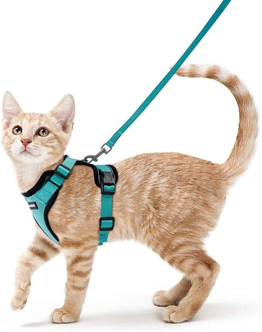 rabbitgoo Cat Harness and Leash for Walking, Escape Proof Soft Adjustable Vest Harnesses for Cats, Easy Control Breathable Reflective Strips Jacket, Emerald, XS