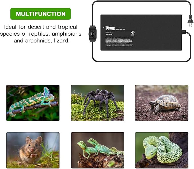 iPower 8 by 18-Inch 24 Watts Reptile Heating Mat with Temperature Controller Under Tank Warmer Terrarium Heat Pad for Reptiles and Amphibians, Black