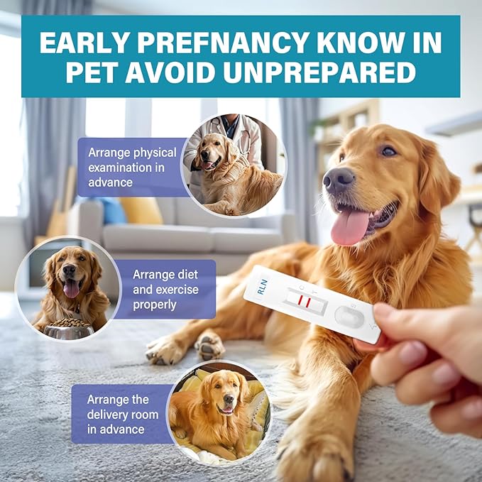 Dog Pregnancy Test Kit at Home, Accurate and Fast Dog Pregnancy Test, Convenient & Disposable Pregnancy Tests Strip, for Dogs & Cats
