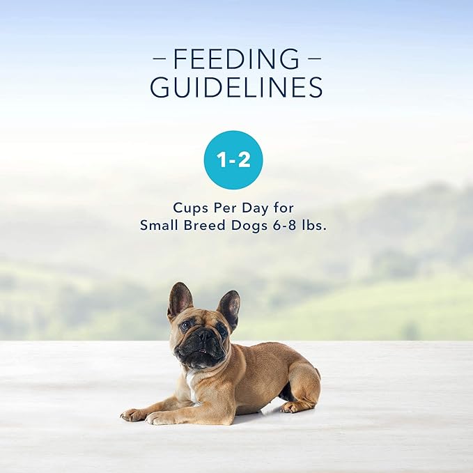Blue Buffalo Delights Natural Adult Small Breed Wet Dog Food Cups, Pate Style, Grilled Chicken & Top Sirloin 3.5-oz (24 Count - 12 of Each Flavor)