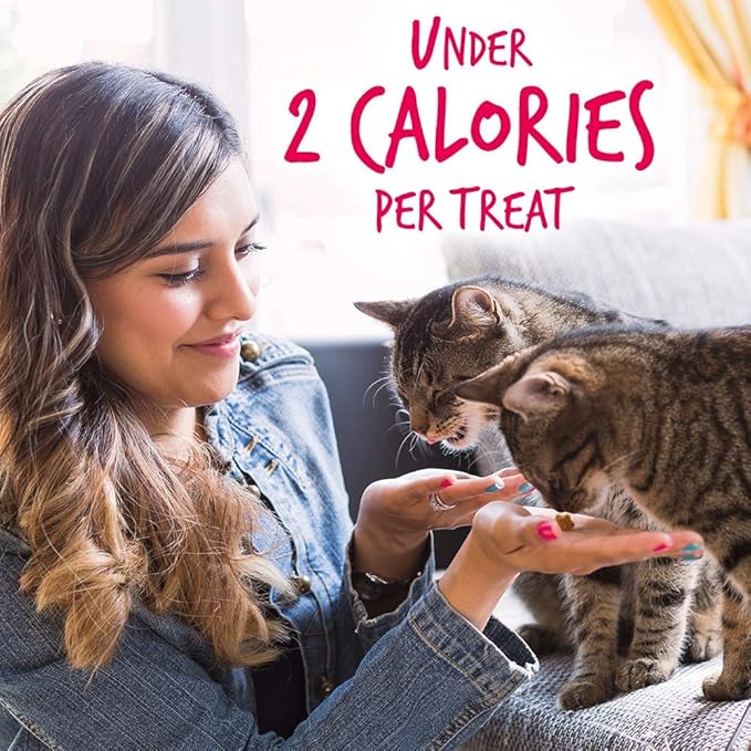 Fruitables Cat Treats – Crunchy Treats for Cats – Healthy Low Calorie Treats Packed with Protein – Free of Wheat, Corn and Soy – Made with Real Salmon with Cranberry – 30 Ounces