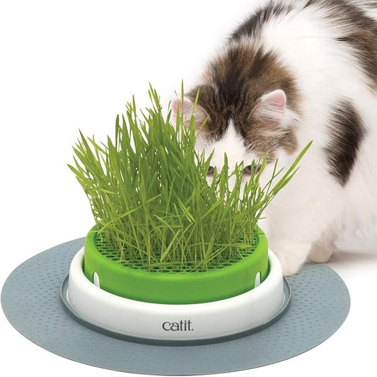 Catit Senses 2.0 Cat Grass Planter, Interactive Cat Toys