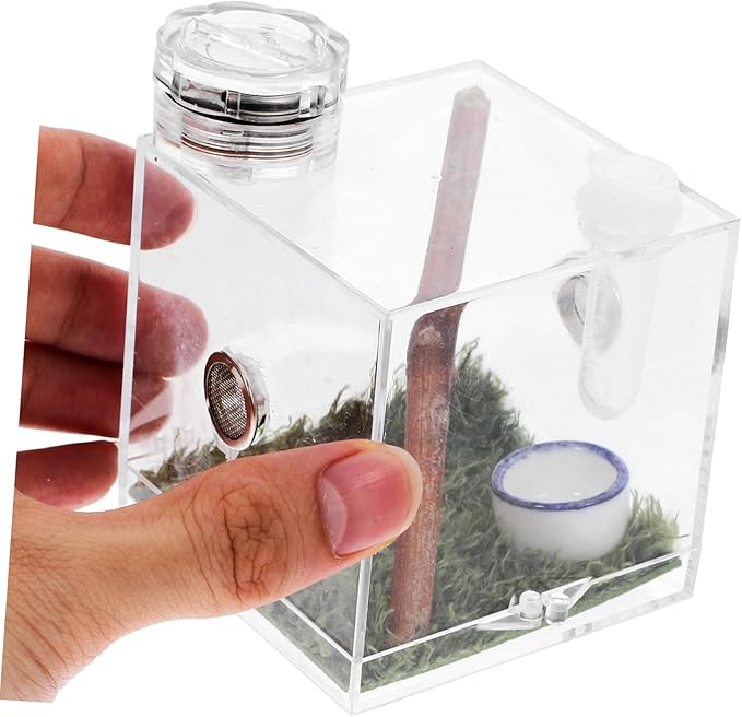 Mipcase 2pcs Box Jumping Spider Breeding Box Reptile Accessories Small Spider Enclosure Mini Critter Keeper Vivarium Tank Tarantula Cage Habitat Bracket Miniature Acrylic Little Spider