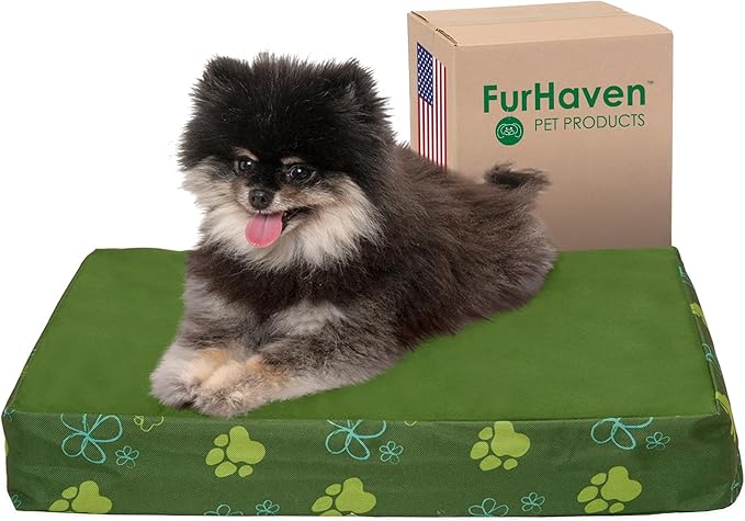 Furhaven Water-Resistant Memory Foam Dog Bed for Small Dogs w/ Removable Washable Cover, For Dogs Up to 20 lbs - Indoor/Outdoor Garden Print Mattress - Jungle Green, Small