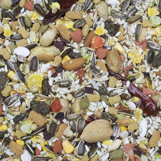 Sunburst Gourmet Blend Parrot Food 3 lbs – Pack of 2