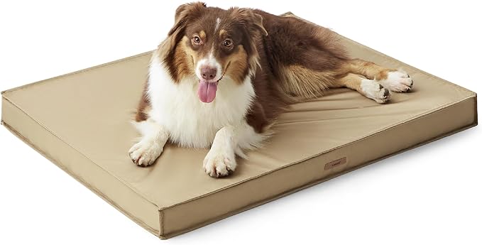 Lesure Waterproof Dog Bed for Medium Dogs - Outdoor Dog Bed with Oxford Fabric Surface, Medium Egg Orthopedic Foam Pet Bed with Removable and Durable Cover, Machine Washable