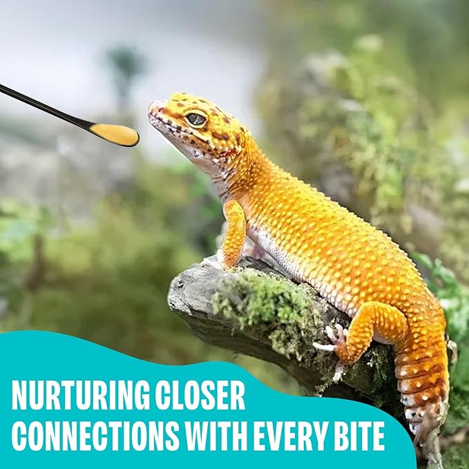 3 Pcs Stainless Steel Reptile Feeding Tool Set with 2 Rubber Tipped Tongs and 1 Crested Gecko Feeding Spoon, Crested Gecko Tank Accessories for Geckos, Lizards, Bearded Dragons,Black