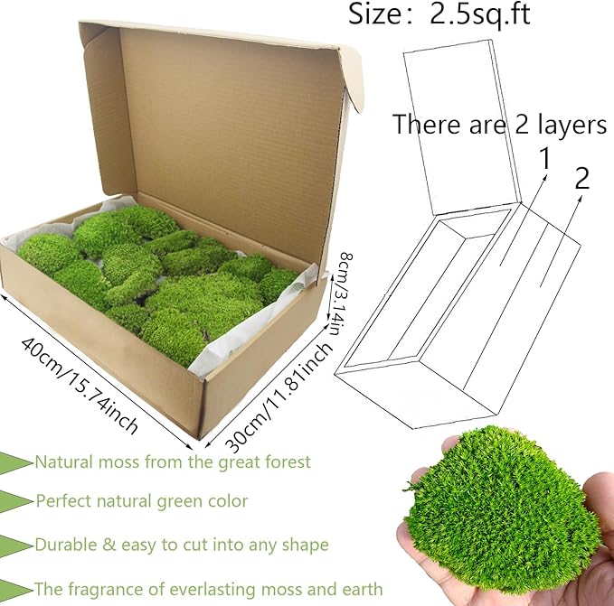 FAICOIA Preserved Moss Bulk Green Natural Preserved Pole Moss Pillow for Potted Plants 2.5 sq.ft Green Moss Balls for Bowls Wall Art Terrariums Crafts Fairy Gardens Easter Table Decor