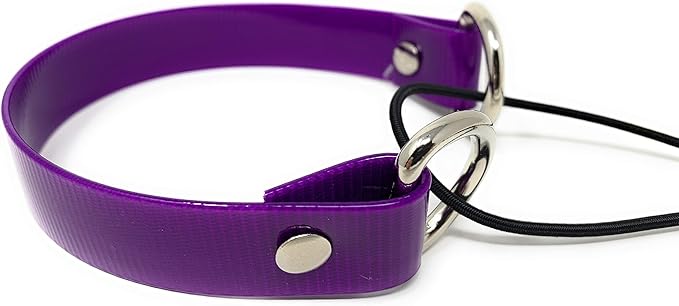 Sparky Pet Co - ECollar Replacement Strap - Bungee Dog Collar - Waterproof - Adjustable - Secure Nexus Wheel Lock - for Electronic Training & Invisible Fence Systems - 1" (Purple)