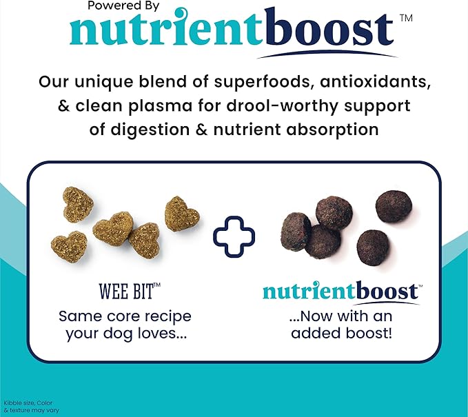 Solid Gold Small Breed Dog Food - Nutrientboost Wee Bit Whole Grain Made w/Real Bison, Brown Rice, & Pearled Barley - High Fiber, Probiotic Dry Dog Food for Dogs with Sensitive Stomachs - 3.75 LB
