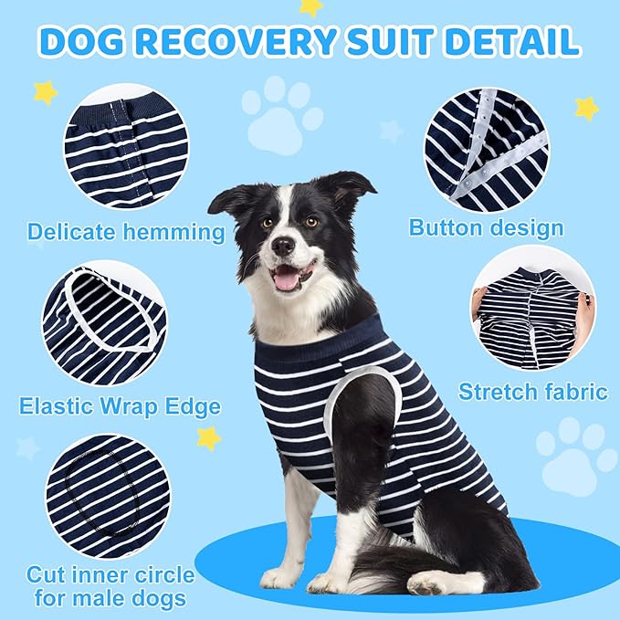 AURUZA Dog Recovery Suit After Surgery, Soft Breathable Dog Onesie for Surgery Female Male, Anti Licking Dog Surgical Suit (Blue Strip,S)