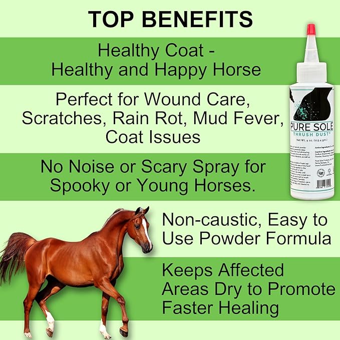 Thrush Dry Powder Treatment for Horses Thrush Dust - an All Natural Powder for Thrush Treatment 4 oz.