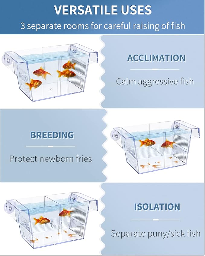 Pawfly Aquarium Fish Breeding Box Acrylic Hatchery Incubator Tank with Suction Cups Medium Isolation Box for Baby Fish Shrimp Betta and Guppy