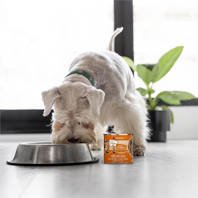 Weruva Dogs in The Kitchen, Goldie Lox with Chicken & Wild-Caught Salmon Au Jus Dog Food, 10oz Can (Pack of 12)