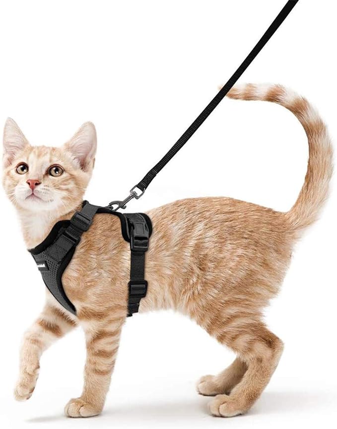 rabbitgoo Cat Harness and Leash for Walking, Escape Proof Soft Adjustable Vest Harnesses for Cats, Easy Control Breathable Reflective Strips Jacket, Black, S