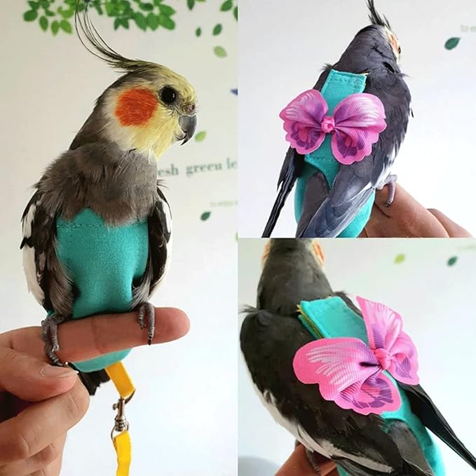 Bird Diapers Harness and Leash Parrot Flight Clothes Suit Bird Clothes Washable Parakeet Recovery Diapers for Small Medium Birds Parakeets Parrot Cockatiel Conure M