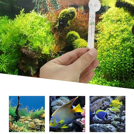 LABO Floating Aquarium Thermometer – Glass - Mercury Free – Safe for Freshwater and Saltwater Fish