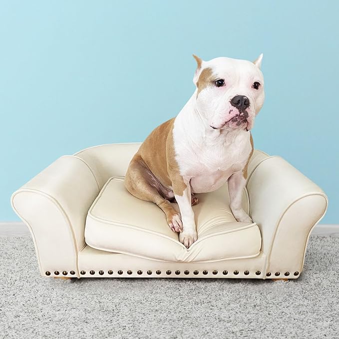 Critter Sitters 34-in. Faux Velvet Dog Couch in Cream for Medium-Sized Dogs and Cats, Modern and Durable Indoor Dog Sofa for Bedroom or Living Room, Comfortable and Easy to Clean Upholstered Dog Beds