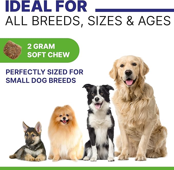 Allergy Relief Dog Chews - Itchy Skin Relief w/Probiotics + Omega 3 + Colostrum - Seasonal Allergies - Anti-Itch Treats - Skin&Coat + Immune Supplement - Made in USA - Chicken Flavor -120Ct