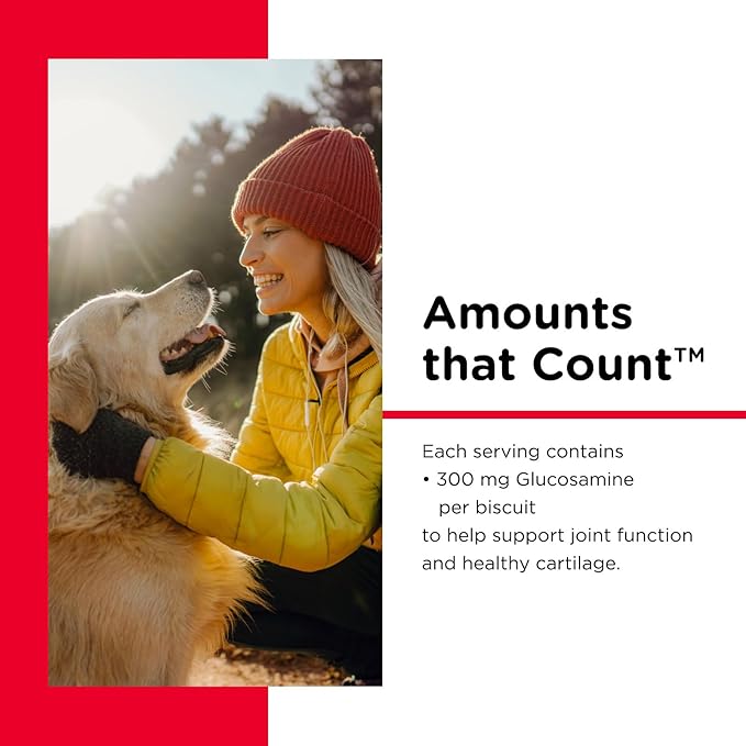 Nutri-Vet Hip & Joint Biscuits for Dogs - Tasty Dog Glucosamine Treat & Dog Joint Supplement - Large Sized Biscuit with 300mg Glucosamine - 6 lb
