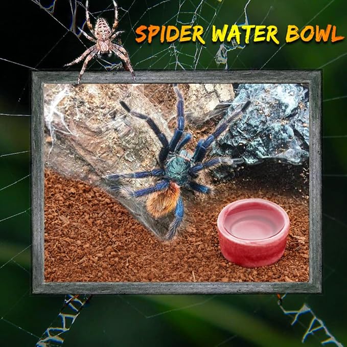 9 Pack Small Spider Ceramic Dish Tarantula Water Bowl Hermit Crab Millipede Terrarium Breeding Feeders (Brown)